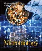 A Photographic Atlas for the Microbiology Laboratory 4th Edition PDF EBOOK EPUB