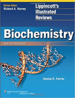 Biochemistry Lippincott's Illustrated Reviews 6th Edition PDF EBOOK EPUB