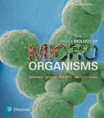 Brock Biology of Microorganisms 15th Edition PDF EBOOK EPUB