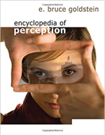 Encyclopedia of Perception 1st Edition by E. Bruce Goldstein PDF EBOOK EPUB