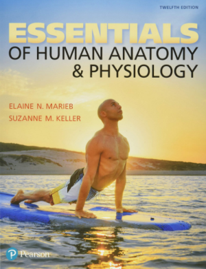 Essentials of Human Anatomy & Physiology 12th Edition PDF EPUB EBOOK