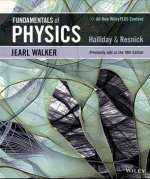 Fundamentals of Physics Extended Extended 11th Edition By Halliday David eBook PDF EPUB