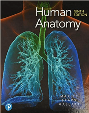 Human Anatomy 9th Edition by Elaine Marieb eBook PDF EPUB