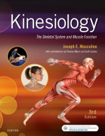 Kinesiology The Skeletal System and Muscle Function 3rd Edition eBook