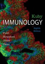 Kuby Immunology 8th Edition eBook PDF