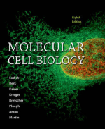 Molecular Cell Biology 8th Edition PDF EPUB EBOOK