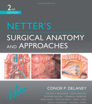 Netter's Surgical Anatomy and Approaches (Netter Clinical Science) 2nd Edition eBook PDF EPUB