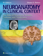 Neuroanatomy in Clinical Context An Atlas of Structures Sections Systems and Syndromes 9th Edition eBook PDF EPUB