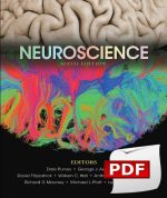 Neuroscience 6th Edition eBook