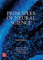 Principles of Neural Science Sixth Edition 6th Edition by Eric Kandel PDF EPUB EBOOK