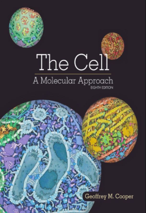 The Cell A Molecular Approach 8th Edition PDF EBOOK EPUB