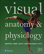 Visual Anatomy & Physiology 3rd Edition By Frederic H. Martini PDF EBOOK EPUB