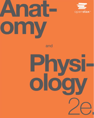 Anatomy and Physiology 2nd Edition pdf by OpenStax ISBN-13 ‏ : ‎ 978-1711494067