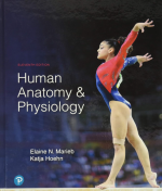 Human Anatomy & Physiology 11th Edition pdf ISBN-13 ‏: ‎978-0134580999