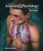 Exploring Anatomy & Physiology in the Laboratory Core Concepts 2nd Edition pdf