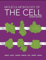 Molecular Biology of the Cell 7th Edition PDF