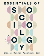 Essentials of Sociology Eighth Edition 9780393537925 ebook pdf 