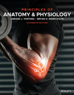 Principles of Anatomy and Physiology 16th Edition ebook pdf