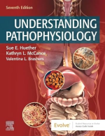 Understanding Pathophysiology 7th Edition eBook pdf