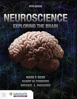 Neuroscience: Exploring the Brain 5th Edition eBook pdf